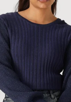 donkerblauwe nukus truien/vesten mulberry pullover lurex