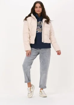 donkerblauwe tommy jeans trui tjw rlxd college tiger 1 hoodie