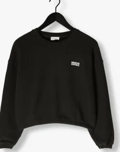 donkergrijze american vintage sweater izubird d