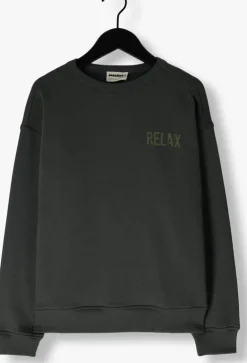 donkergrijze ammehoela sweater rocky