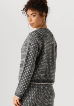 donkergrijze selected femme vest slfsine ls knit cardigan