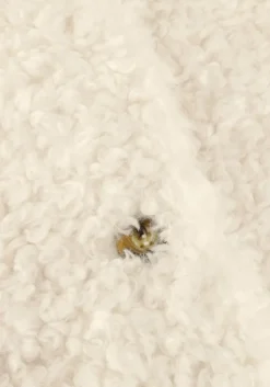 ecru giacomo the jacket faux fur jas 6612775