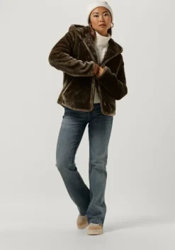 ecru idano coltrui gasparine