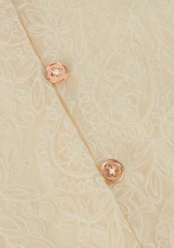 ecru nono blouses tessy mesh blouse