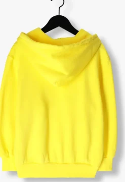 gele american vintage truien/vesten izubird hoodie