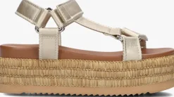 gouden blasz platte sandalen cls14351