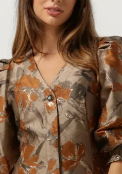 gouden bruuns bazaar mini jurk whirling amaru dress