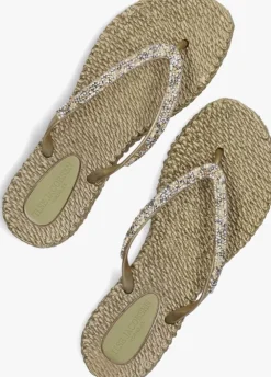 gouden ilse jacobsen teenslippers cheerful03
