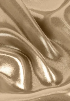 gouden josh v maxirok leona