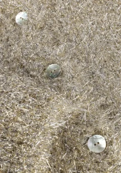 gouden knit-ted vest lynn cardigan