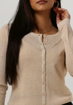 gouden minus vest new laura cardigan