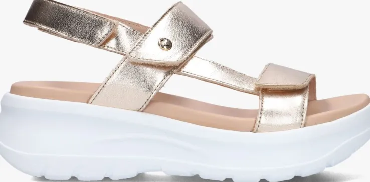 gouden panama jack sandalen noor