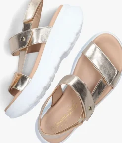 gouden panama jack sandalen noor