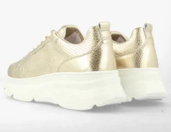 gouden red-rag lage sneakers 71566