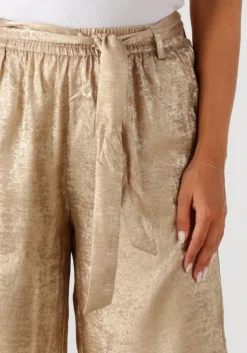 gouden summum pantalon pants metallic lamee