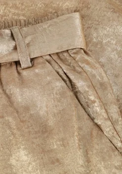 gouden summum pantalon pants metallic lamee