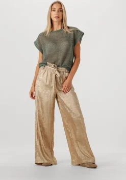 gouden summum pantalon pants metallic lamee