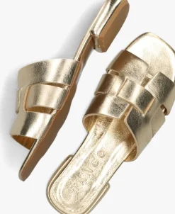 gouden tango slippers tyrsa 1