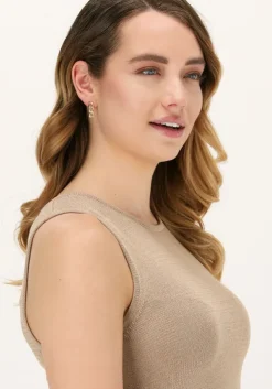 goudkleurig notre-v oorbellen oorbel schakel