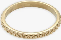 goudkleurig notre-v ringen ring 2