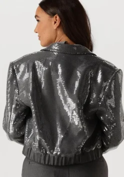 grijze aaiko blazer mille sequins pes 356