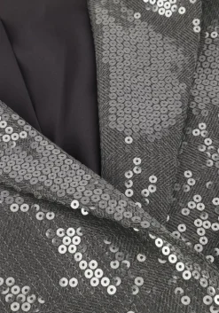 grijze aaiko blazer mille sequins pes 356