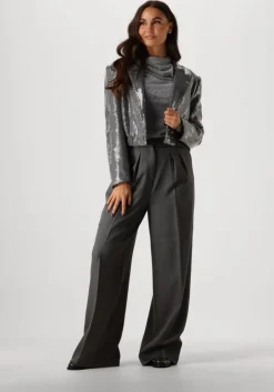 grijze aaiko pantalon saba sequins pes 356