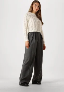 grijze aaiko pantalon saba sequins pes 356