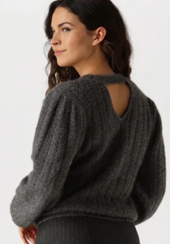 grijze aaiko trui femme pes 377