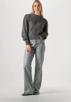 grijze aaiko trui femme pes 377