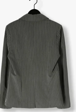 grijze ai&ko blazer amanda pinstripe vis 350 g