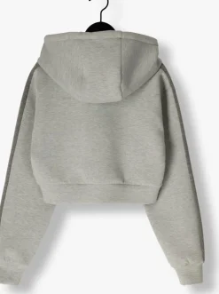 grijze ai&ko sweater gracie pes 627 g