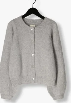 grijze ai&ko vest jady pes 442 g