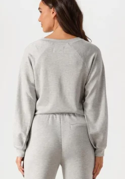 grijze aimee the label trui novy