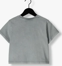 grijze alix mini t-shirt cropped t-shirt