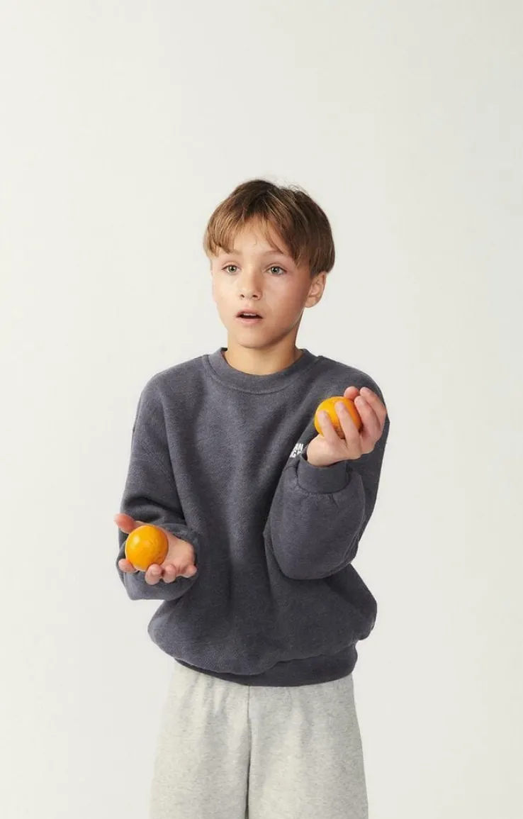 grijze american vintage sweater doven sweater