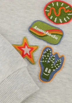 grijze ammehoela trui ernest