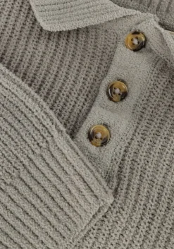 grijze baje studio polo neas