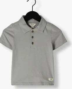 grijze baje studio polo vassal