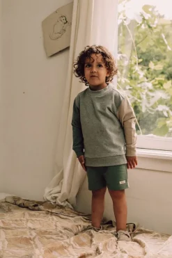 grijze baje studio sweater maior