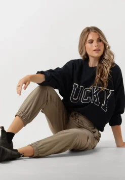 grijze blundstone chelsea boots classic dames