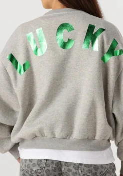 grijze by-bar sweater bibi lucky curve sweater