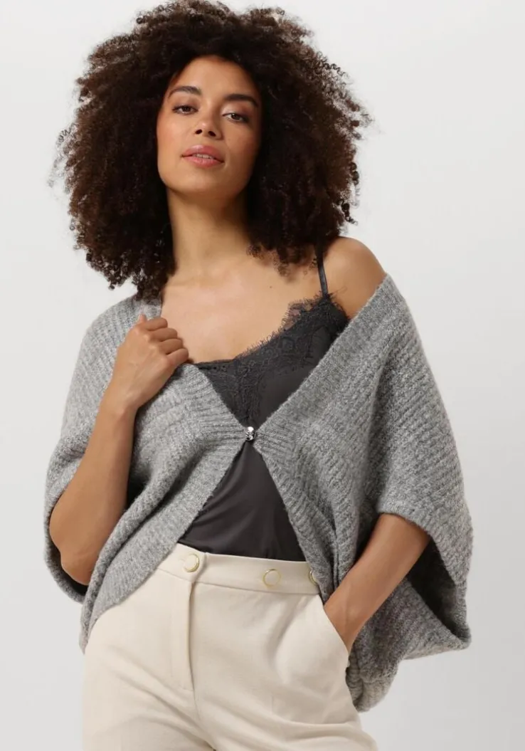 grijze caroline biss vest 4254