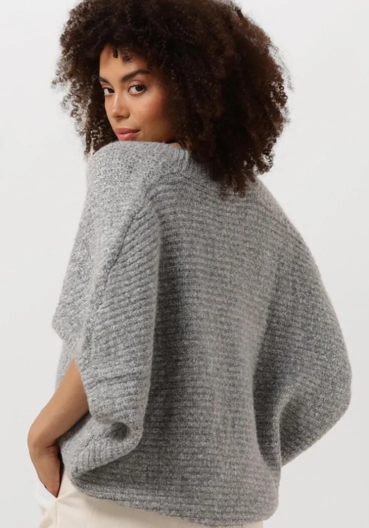 grijze caroline biss vest 4254