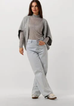 grijze caroline biss vest 4254