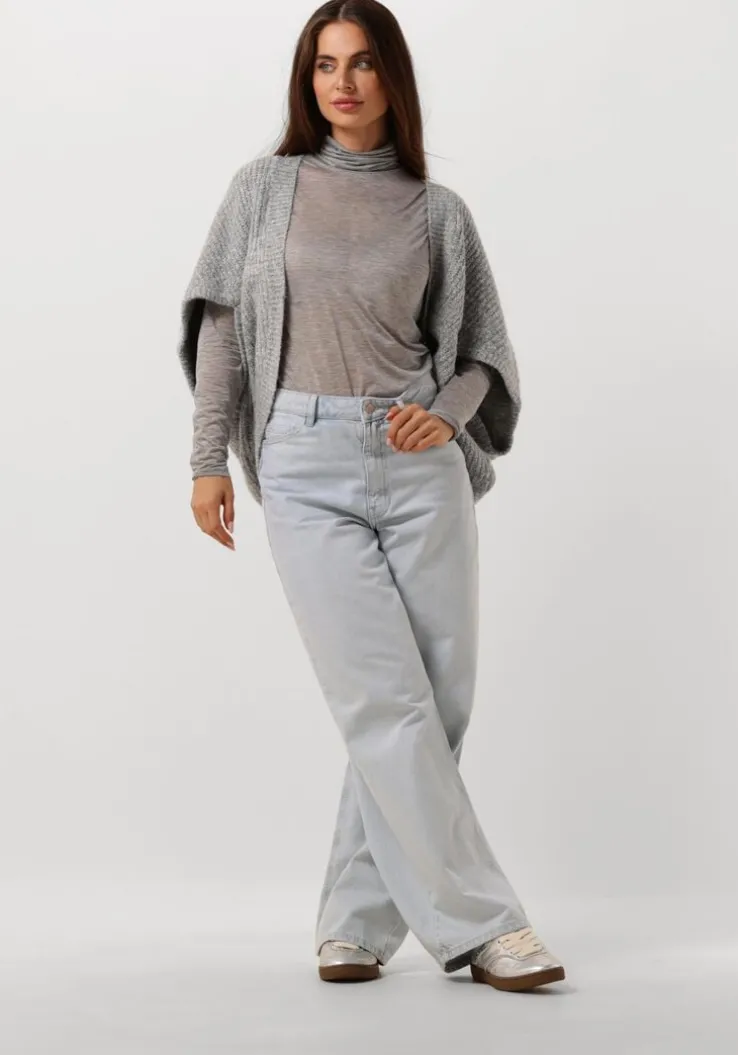 grijze caroline biss vest 4254