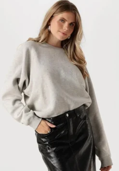grijze catwalk junkie trui relaxed raglan sleeve sweater with strass