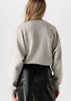 grijze catwalk junkie trui relaxed raglan sleeve sweater with strass
