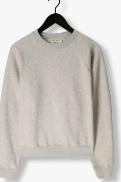 grijze catwalk junkie trui relaxed raglan sleeve sweater with strass
