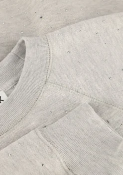 grijze catwalk junkie trui relaxed raglan sleeve sweater with strass